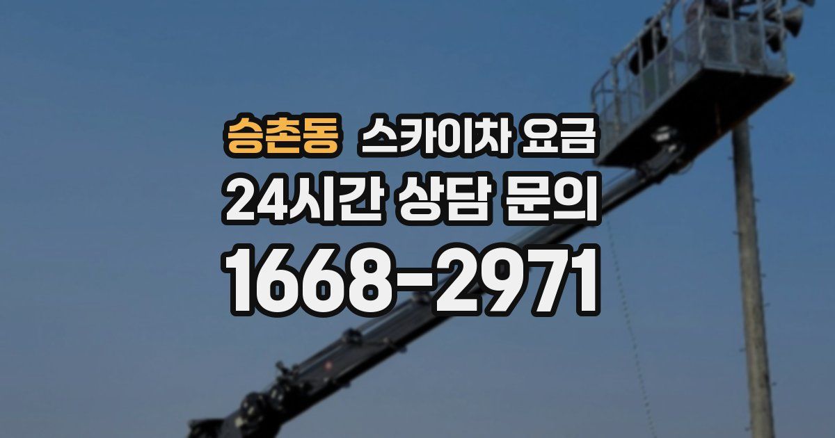 승촌동 스카이차 요금