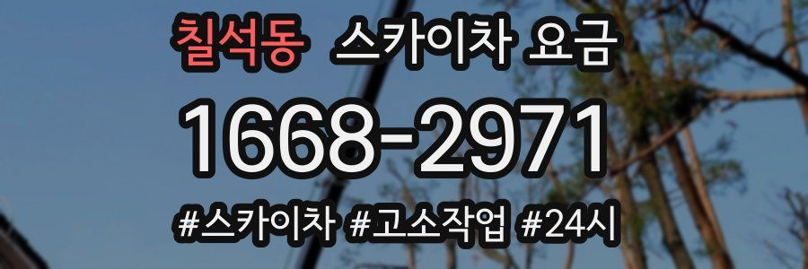칠석동 스카이차 요금