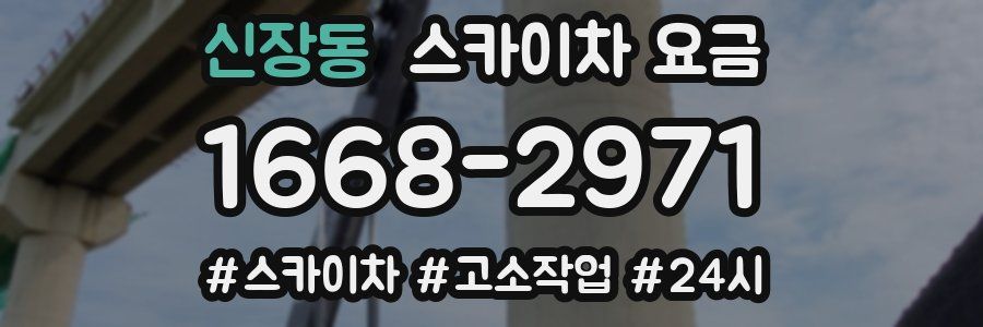 신장동 스카이차 요금