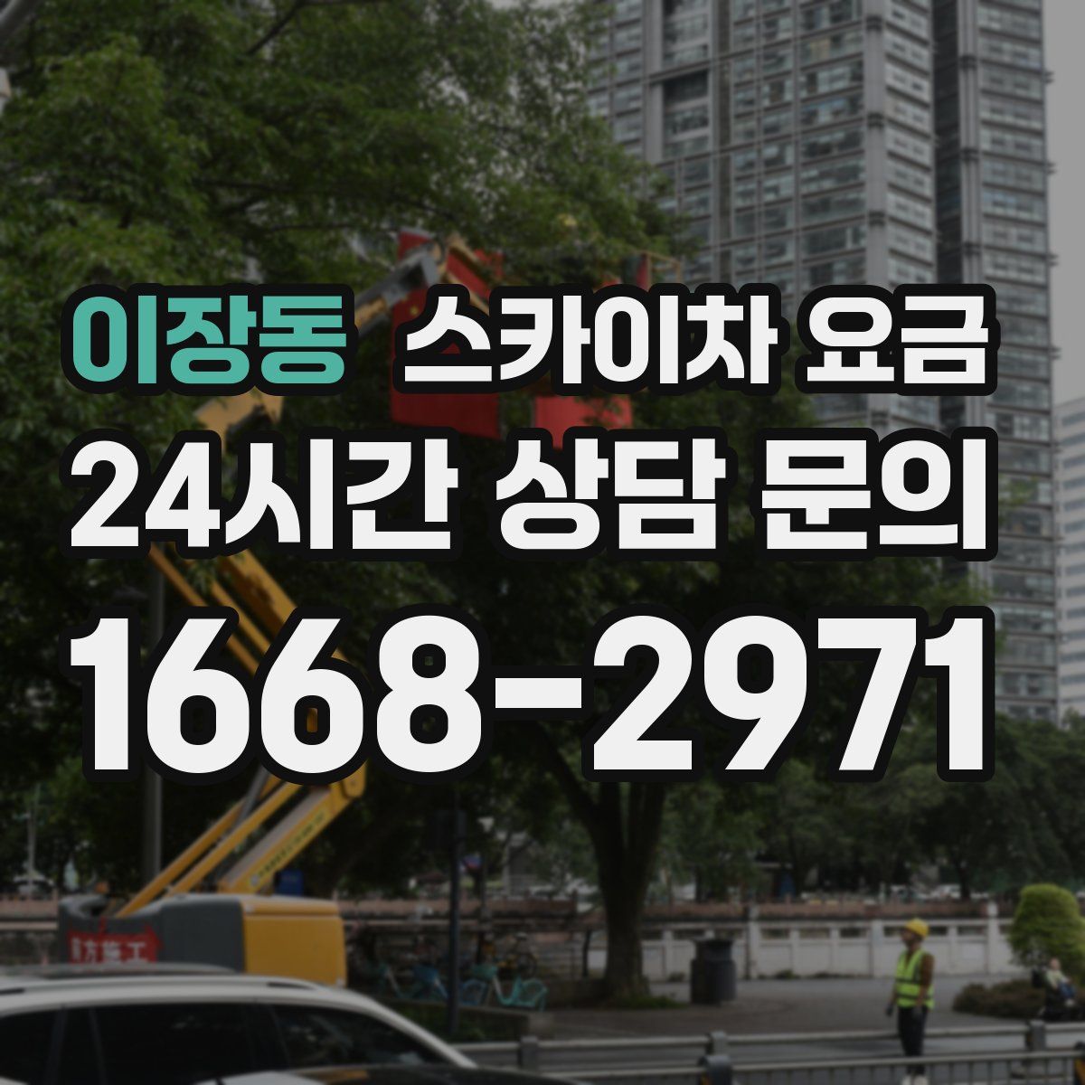 이장동 스카이차 요금