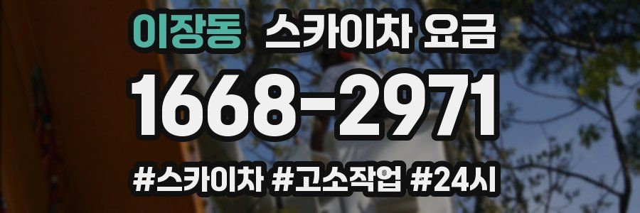 이장동 스카이차 요금