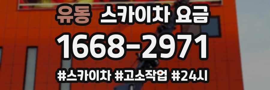 유동 스카이차 요금