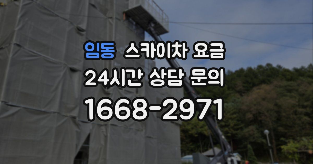 임동 스카이차 요금