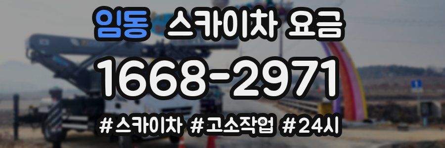 임동 스카이차 요금