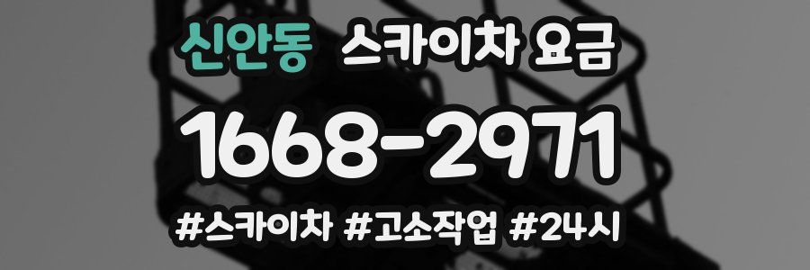 신안동 스카이차 요금