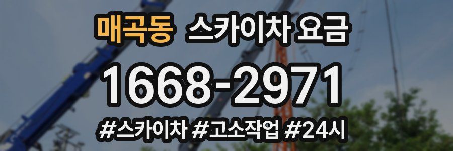 매곡동 스카이차 요금