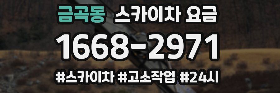 금곡동 스카이차 요금
