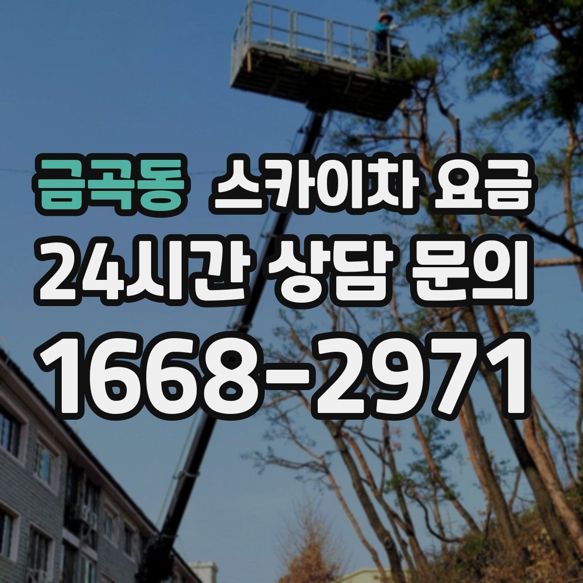 금곡동 스카이차 요금