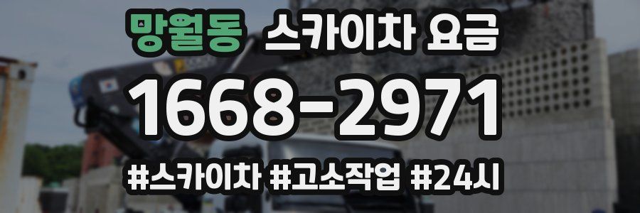 망월동 스카이차 요금