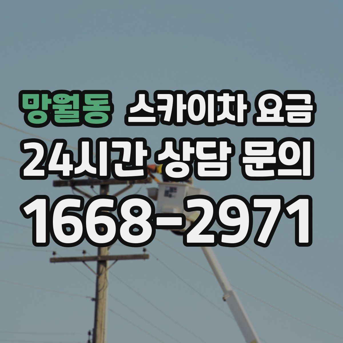 망월동 스카이차 요금