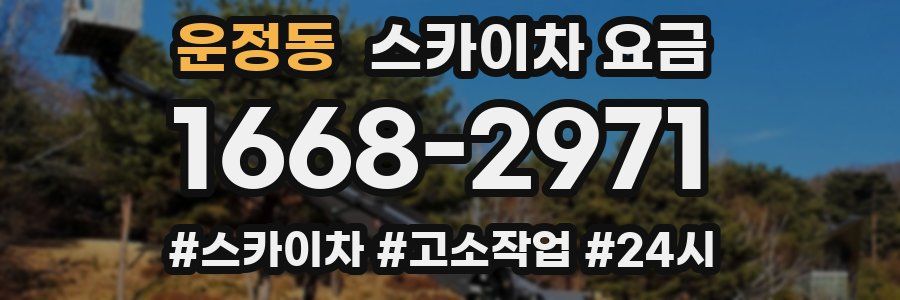 운정동 스카이차 요금