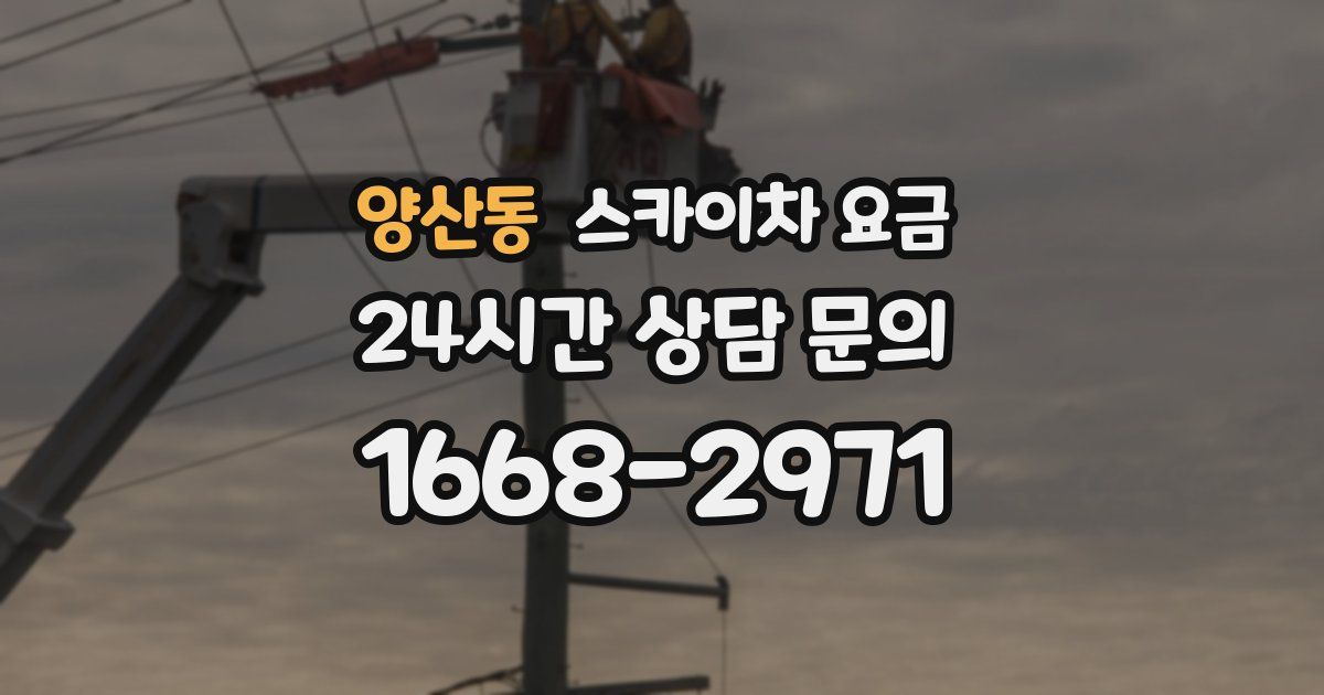 양산동 스카이차 요금