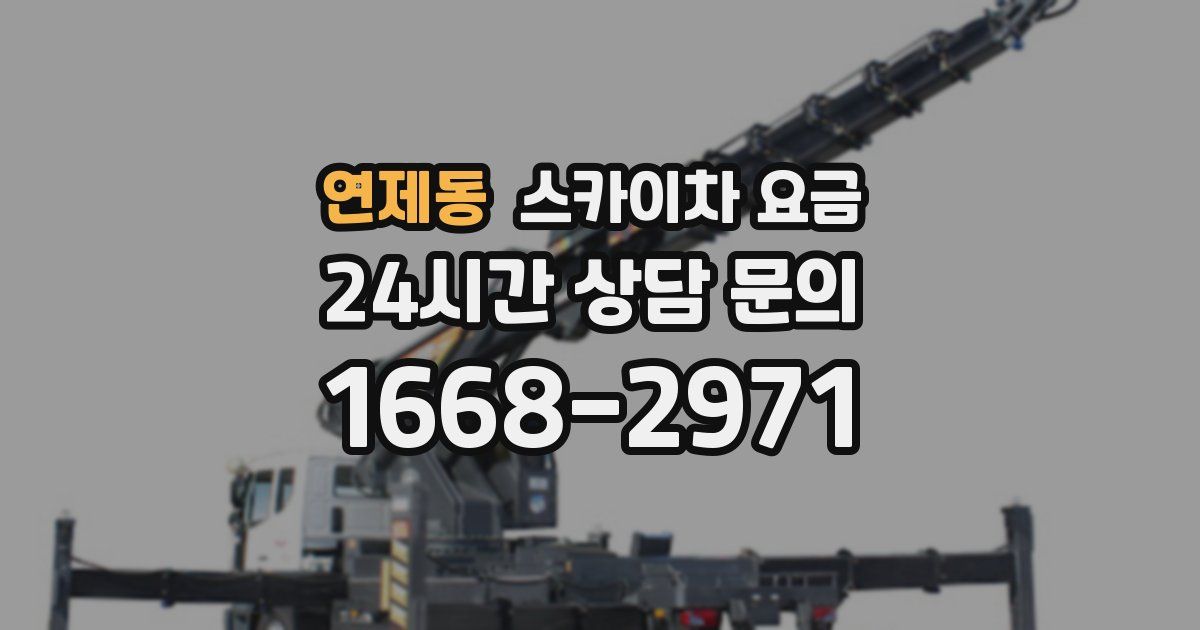 연제동 스카이차 요금