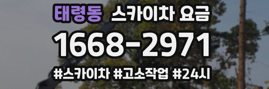 태령동 스카이차 요금