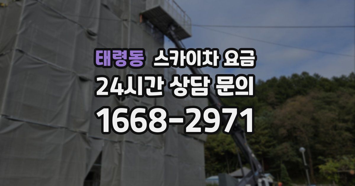 태령동 스카이차 요금