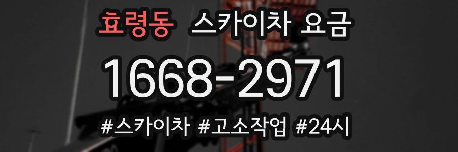 효령동 스카이차 요금