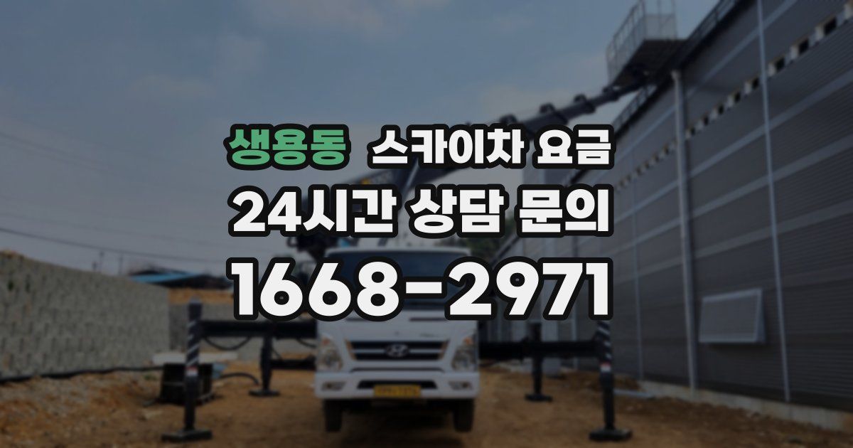 생용동 스카이차 요금