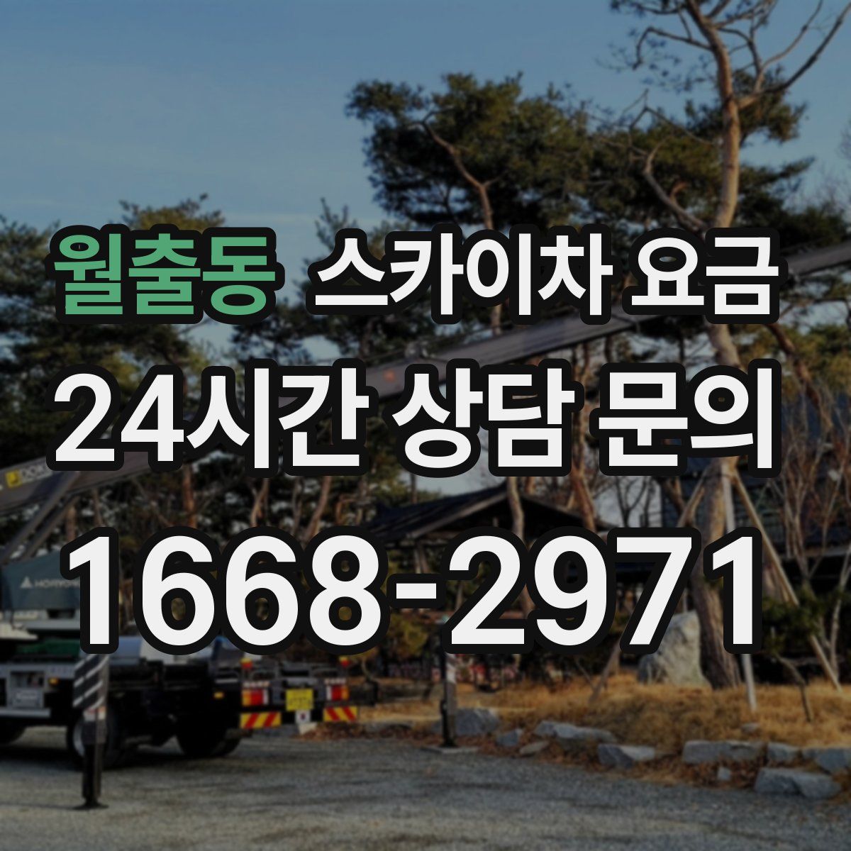 월출동 스카이차 요금