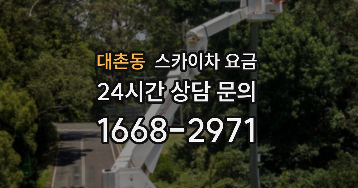 대촌동 스카이차 요금