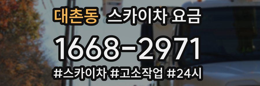 대촌동 스카이차 요금