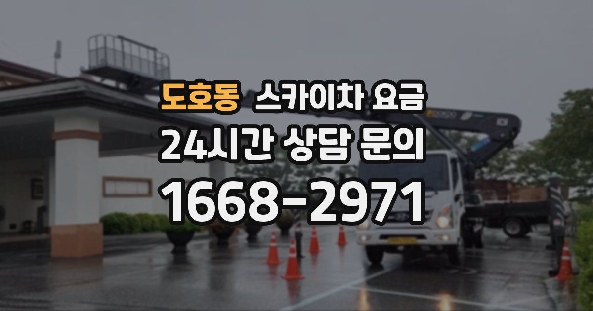 도호동 스카이차 요금