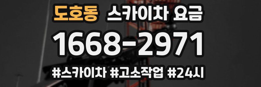 도호동 스카이차 요금