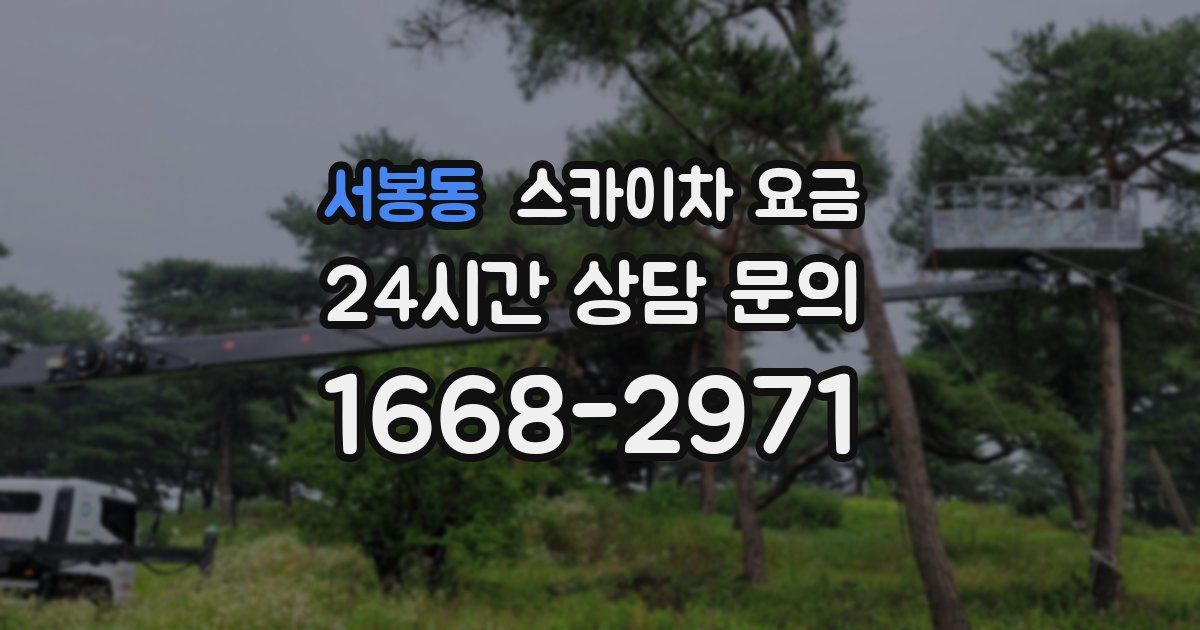 서봉동 스카이차 요금