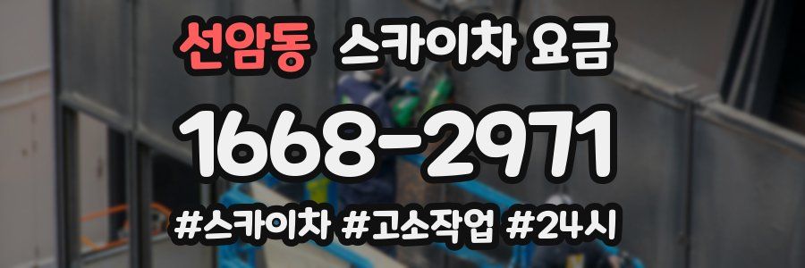 선암동 스카이차 요금