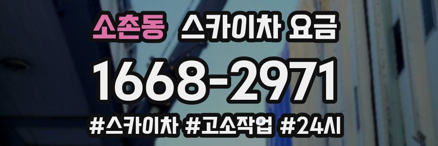 소촌동 스카이차 요금