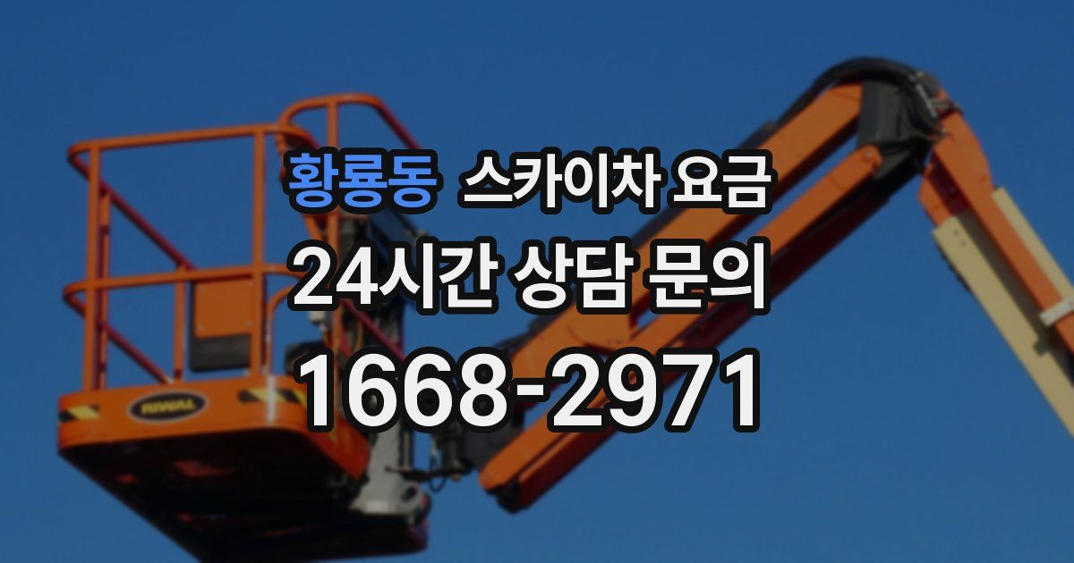 황룡동 스카이차 요금