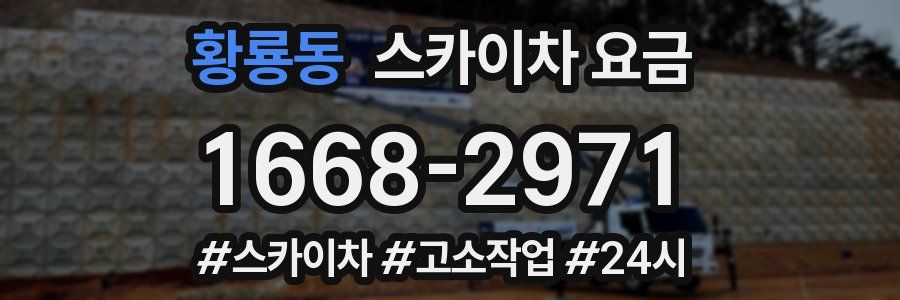 황룡동 스카이차 요금