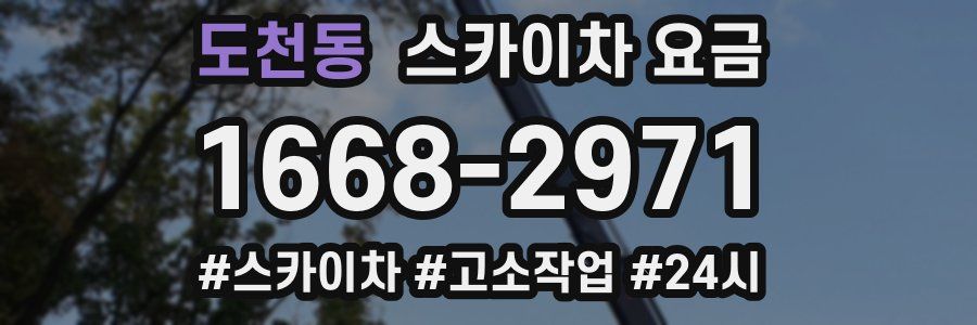 도천동 스카이차 요금