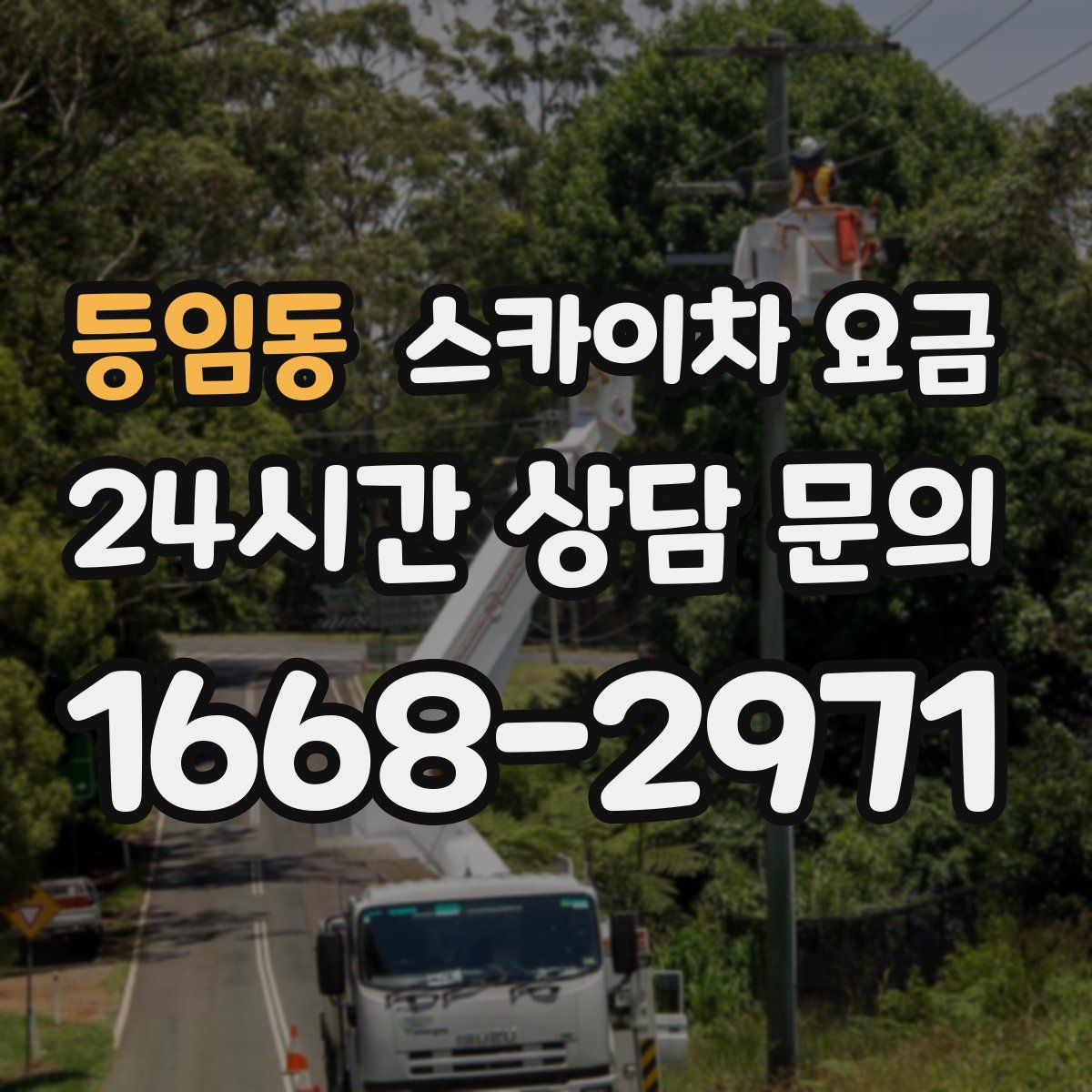 등임동 스카이차 요금