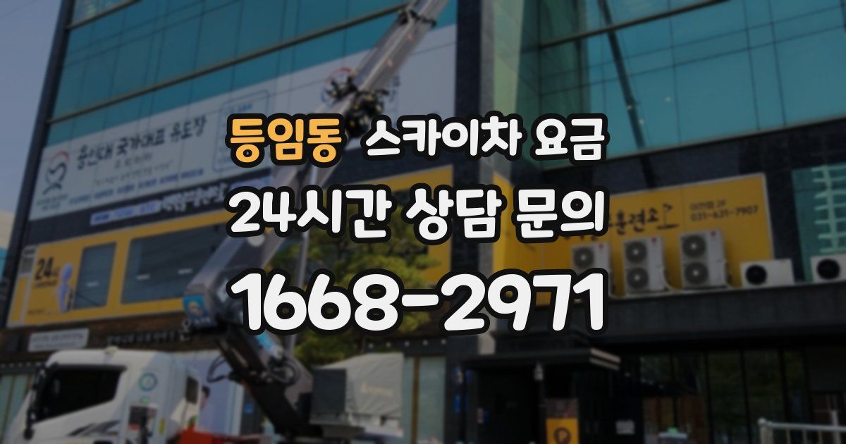 등임동 스카이차 요금