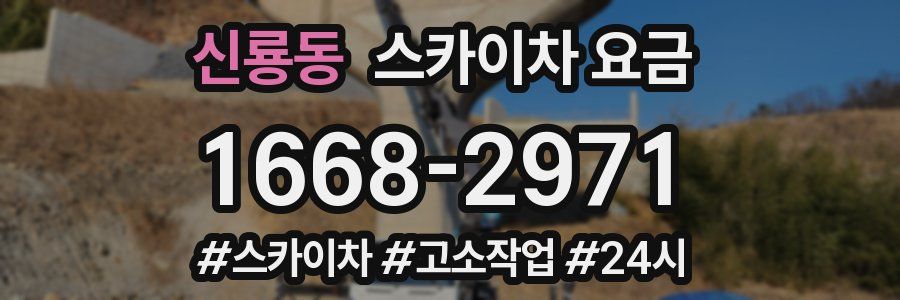 신룡동 스카이차 요금