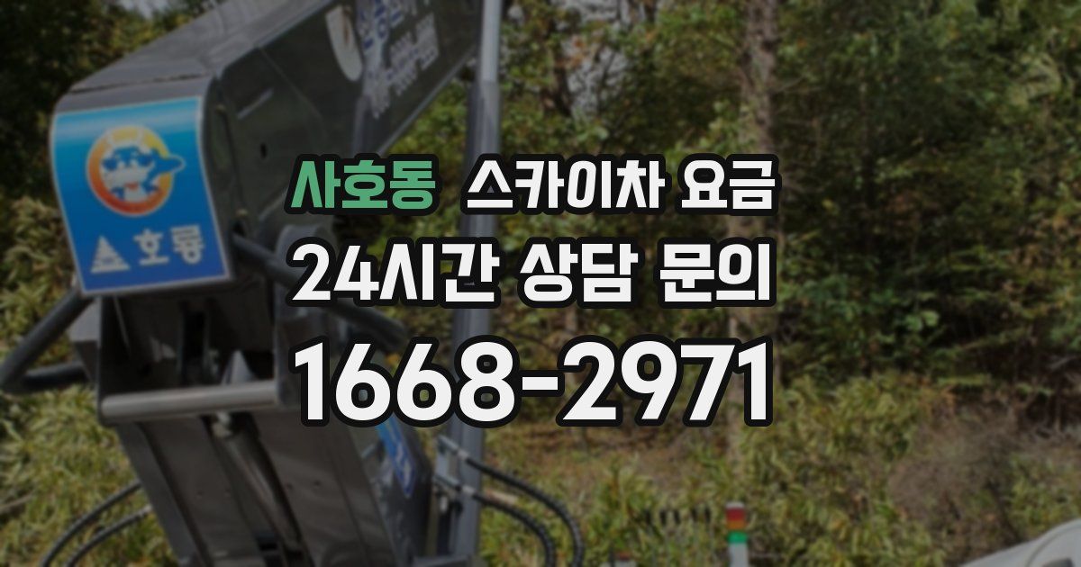 사호동 스카이차 요금