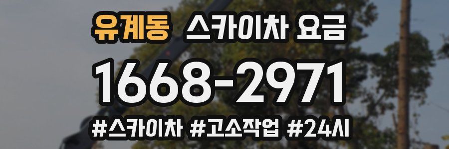 유계동 스카이차 요금