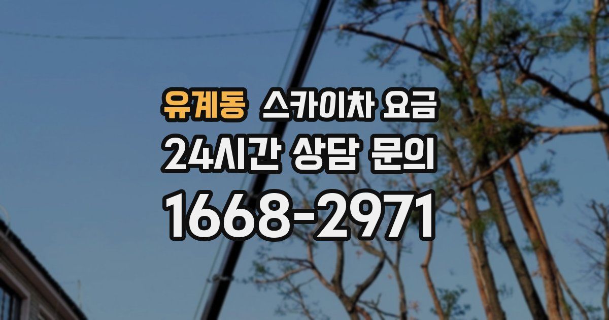 유계동 스카이차 요금