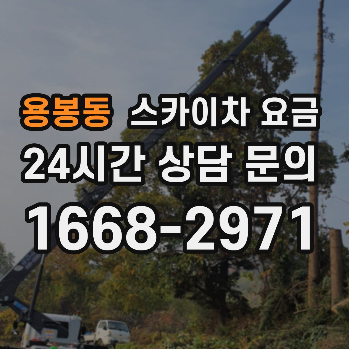 용봉동 스카이차 요금