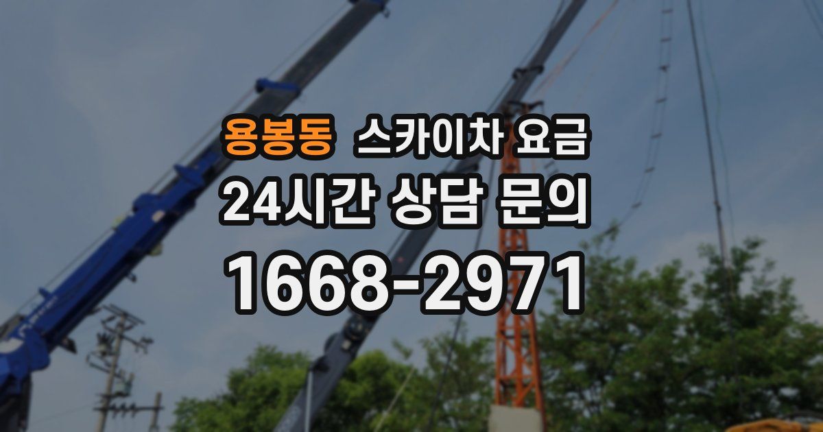 용봉동 스카이차 요금