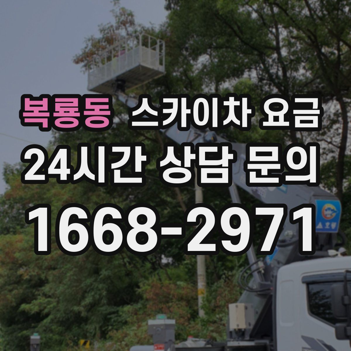복룡동 스카이차 요금