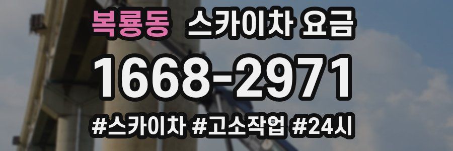 복룡동 스카이차 요금