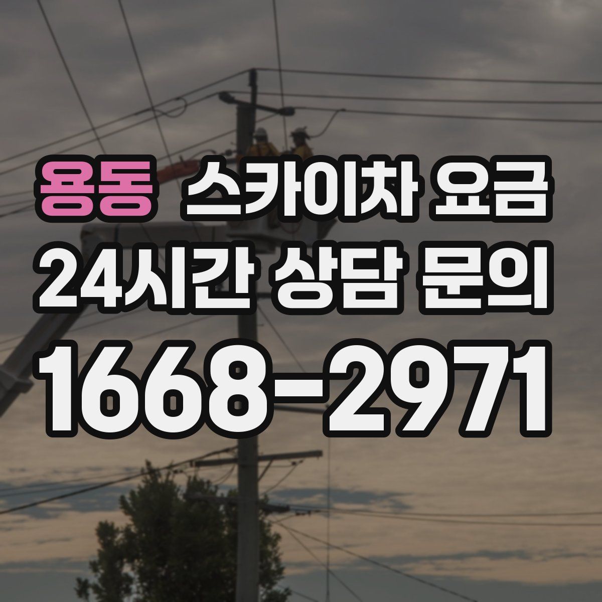 용동 스카이차 요금