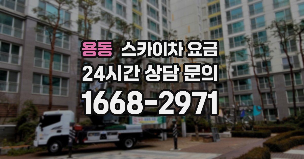용동 스카이차 요금