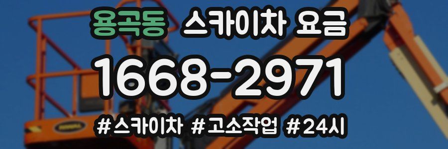 용곡동 스카이차 요금