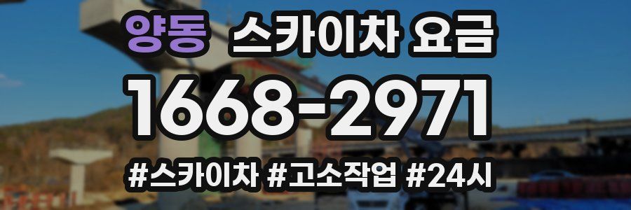 양동 스카이차 요금
