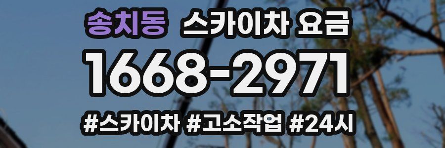 송치동 스카이차 요금