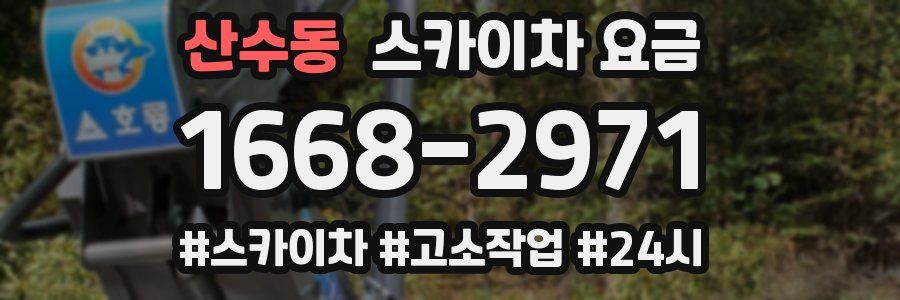 산수동 스카이차 요금
