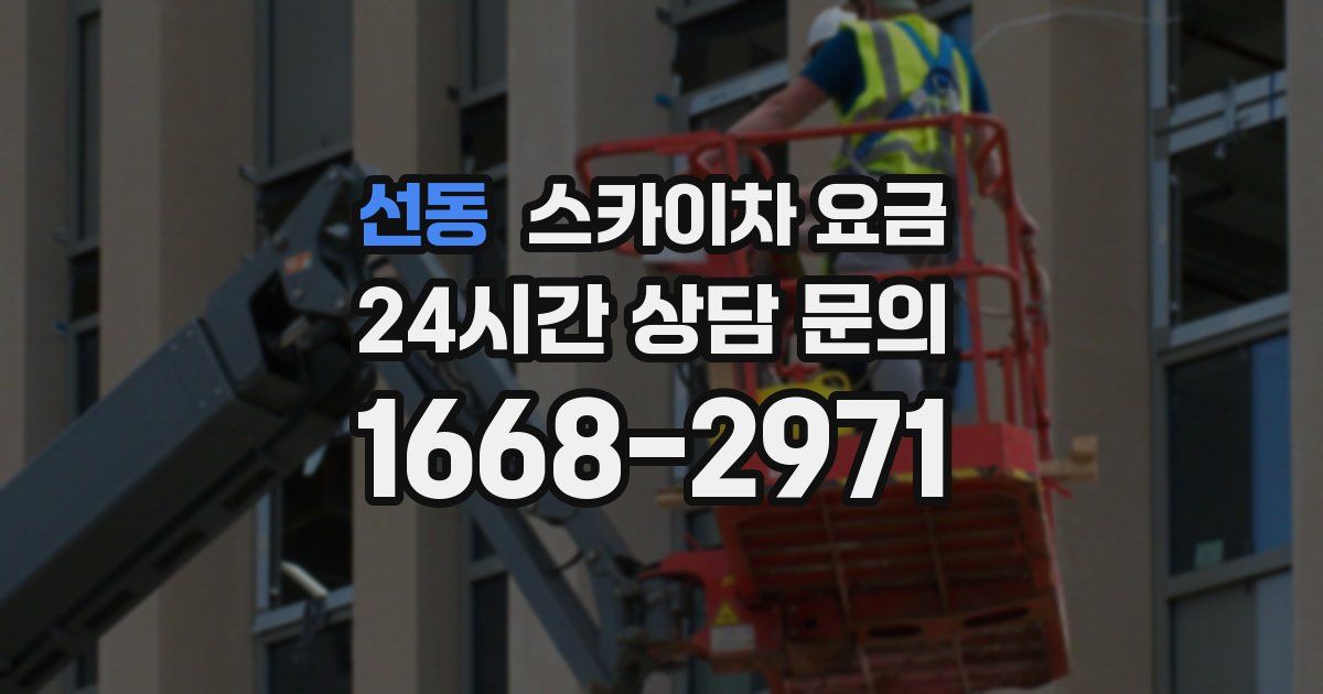 선동 스카이차 요금