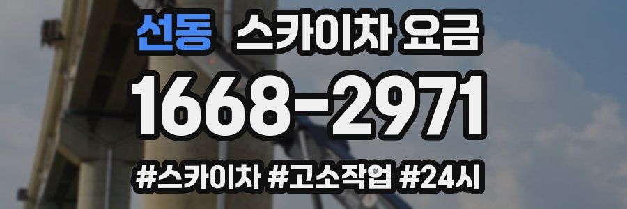 선동 스카이차 요금